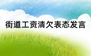 街道工資清欠表態發言