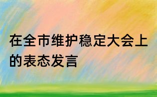 在全市維護穩定大會上的表態發言