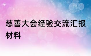 慈善大會經(jīng)驗交流匯報材料