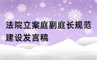 法院立案庭副庭長規范建設發言稿