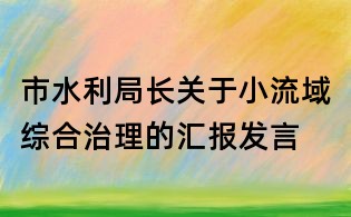 市水利局長(zhǎng)關(guān)于小流域綜合治理的匯報(bào)發(fā)言