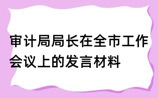 審計局局長在全市工作會議上的發言材料