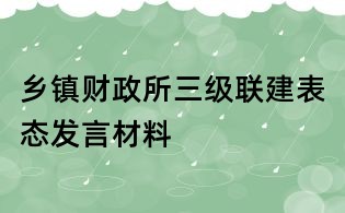 鄉(xiāng)鎮(zhèn)財政所三級聯(lián)建表態(tài)發(fā)言材料