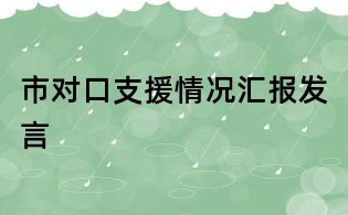 市對口支援情況匯報發言