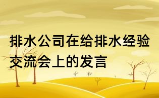排水公司在給排水經驗交流會上的發言