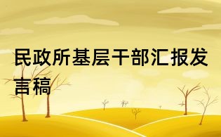 民政所基層干部匯報發言稿