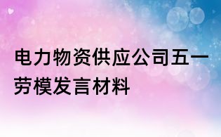 電力物資供應公司五一勞模發言材料