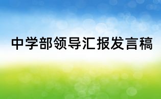中學部領導匯報發言稿