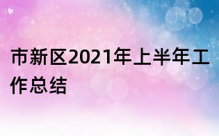 市新區2021年上半年工作總結
