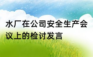 水廠在公司安全生產會議上的檢討發言