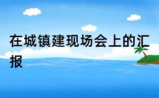 在城鎮(zhèn)建現(xiàn)場會上的匯報