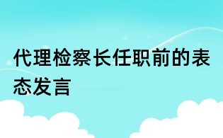 代理檢察長任職前的表態發言