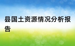 縣國土資源情況分析報告