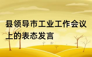 縣領導市工業工作會議上的表態發言