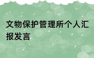 文物保護管理所個人匯報發言