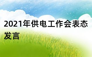 2021年供電工作會表態發言