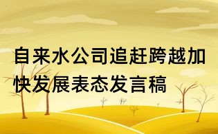 自來水公司追趕跨越加快發展表態發言稿