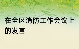 在全區消防工作會議上的發言