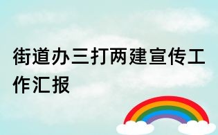 街道辦三打兩建宣傳工作匯報