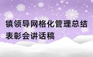 鎮領導網格化管理總結表彰會講話稿