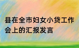 縣在全市婦女小貸工作會上的匯報發言