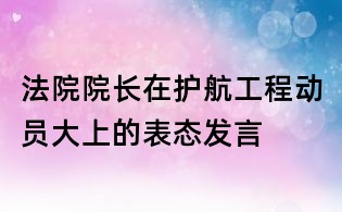 法院院長(zhǎng)在護(hù)航工程動(dòng)員大上的表態(tài)發(fā)言