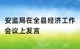 安監局在全縣經濟工作會議上發言