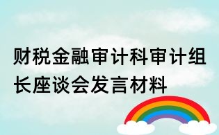 財稅金融審計科審計組長座談會發言材料