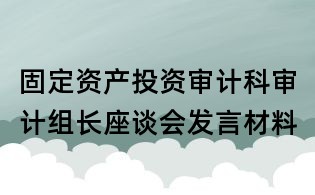 固定資產投資審計科審計組長座談會發言材料