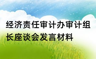 經濟責任審計辦審計組長座談會發言材料