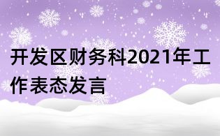 開發區財務科2021年工作表態發言