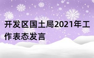開發區國土局2021年工作表態發言