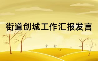 街道創城工作匯報發言