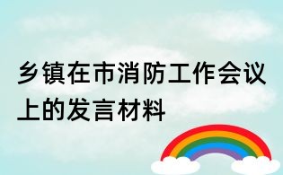 鄉(xiāng)鎮(zhèn)在市消防工作會議上的發(fā)言材料