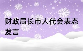 財政局長市人代會表態發言