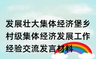 發展壯大集體經濟堡鄉村級集體經濟發展工作經驗交流發言材料