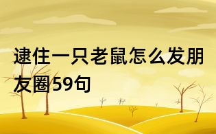 逮住一只老鼠怎么發朋友圈59句