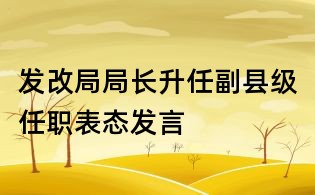 發(fā)改局局長升任副縣級任職表態(tài)發(fā)言