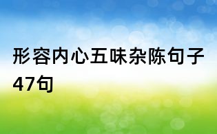 形容內心五味雜陳句子47句