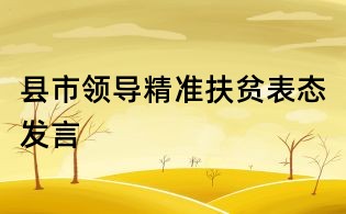 縣市領導精準扶貧表態發言