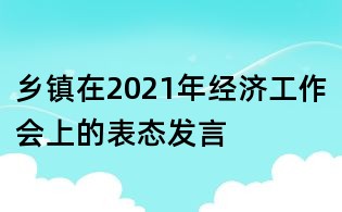 鄉鎮在2021年經濟工作會上的表態發言