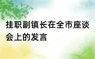 掛職副鎮長在全市座談會上的發言