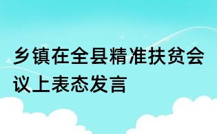 鄉(xiāng)鎮(zhèn)在全縣精準扶貧會議上表態(tài)發(fā)言