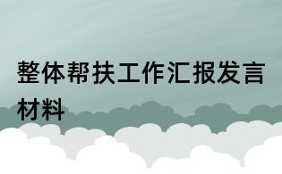 整體幫扶工作匯報發言材料