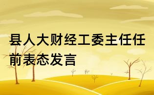 縣人大財經工委主任任前表態發言