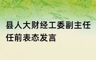 縣人大財經工委副主任任前表態發言