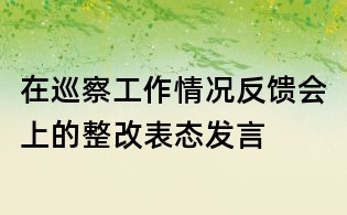 在巡察工作情況反饋會上的整改表態發言
