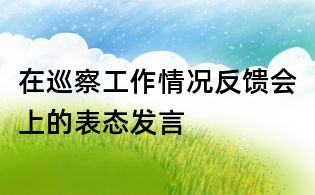在巡察工作情況反饋會上的表態發言