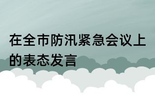 在全市防汛緊急會議上的表態發言