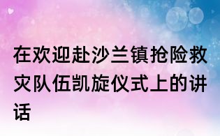 在歡迎赴沙蘭鎮搶險救災隊伍凱旋儀式上的講話